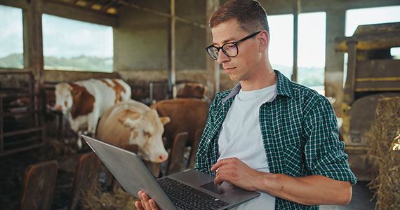 Dairy co op integrates ERP Oracle and BI to track and protect milk products