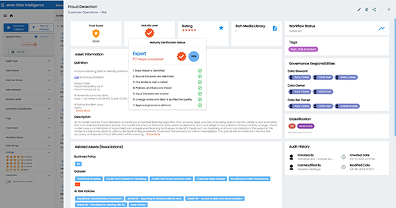 AI model governance